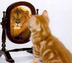 Отслеживание чувства собственной важности